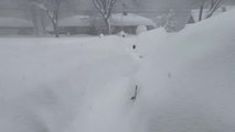 Una gran nevada en el estado de Nueva York hace 'desaparecer' los coches aparcados en la calle