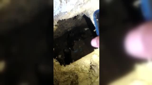 Kuyuya düşen 6 köpek yavrusunu itfaiye ekipleri kurtardı
