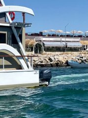 Sea Lion Enjoys a Boat Ride