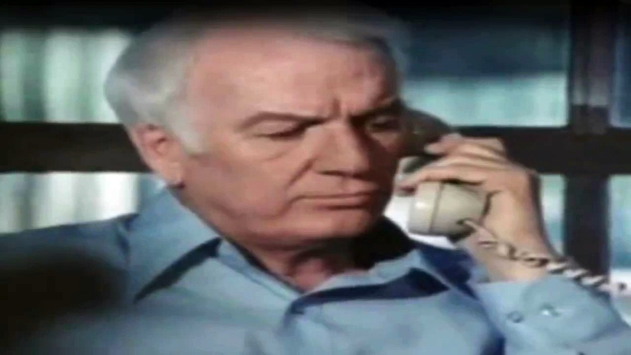 Die 7-Millionen-Dollar-Frau Staffel 2 Folge 16 HD Deutsch