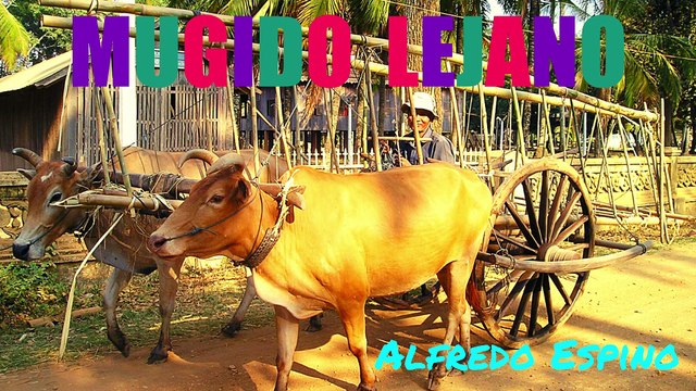 MUGIDO LEJANO ALFREDO ESPINO ‍ | Jícaras Tristes Auras del Bohío | Alfredo Espino Poemas