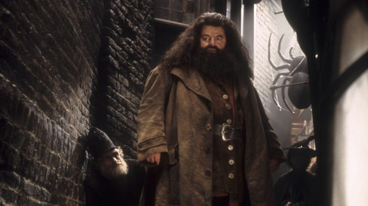 „Harry Potter“: SO wurde bei „Hagrids“ Größe getrickst