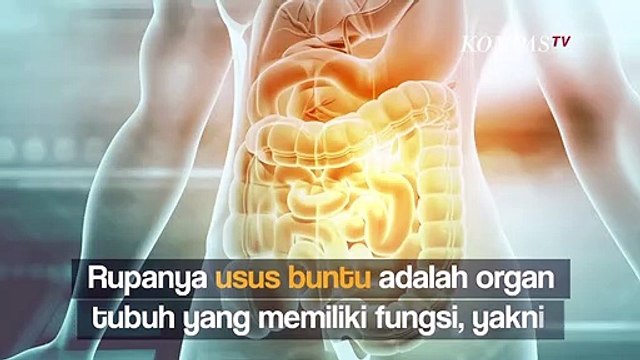 Manfaat Usus Buntu yang Belum Banyak Orang Tahu