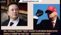 Will Donald Trump tweet again? Elon Musk reinstates Donald Trump on Twitter - 1breakingnews.com