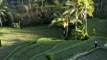 cinematic keren pedesaan dan gunung
