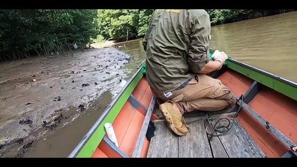 Proses pemanggilan buaya riska,oleh panji