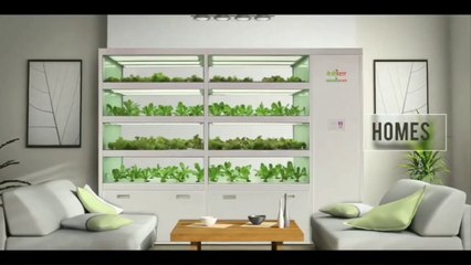 Indoor Hydroponic System | Automatic | Future Farm | Technology | Lights | Farming.