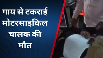 निवाड़ीः आवारा मवेशी बन रहे हादसों का सबब,भीषण सड़क हादसे में युवक की मौत