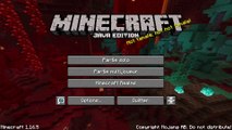 Minecraft: Java Edition (v1.16.5): Survie: Biome unique: Plage: Difficile: Max%: +2C [1] La Pelle