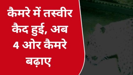 कोटा: 40 घंटे बाद भी पकड़ में नही आया तेंदुआ, रात को पिंजरे में पैर रखकर निकला