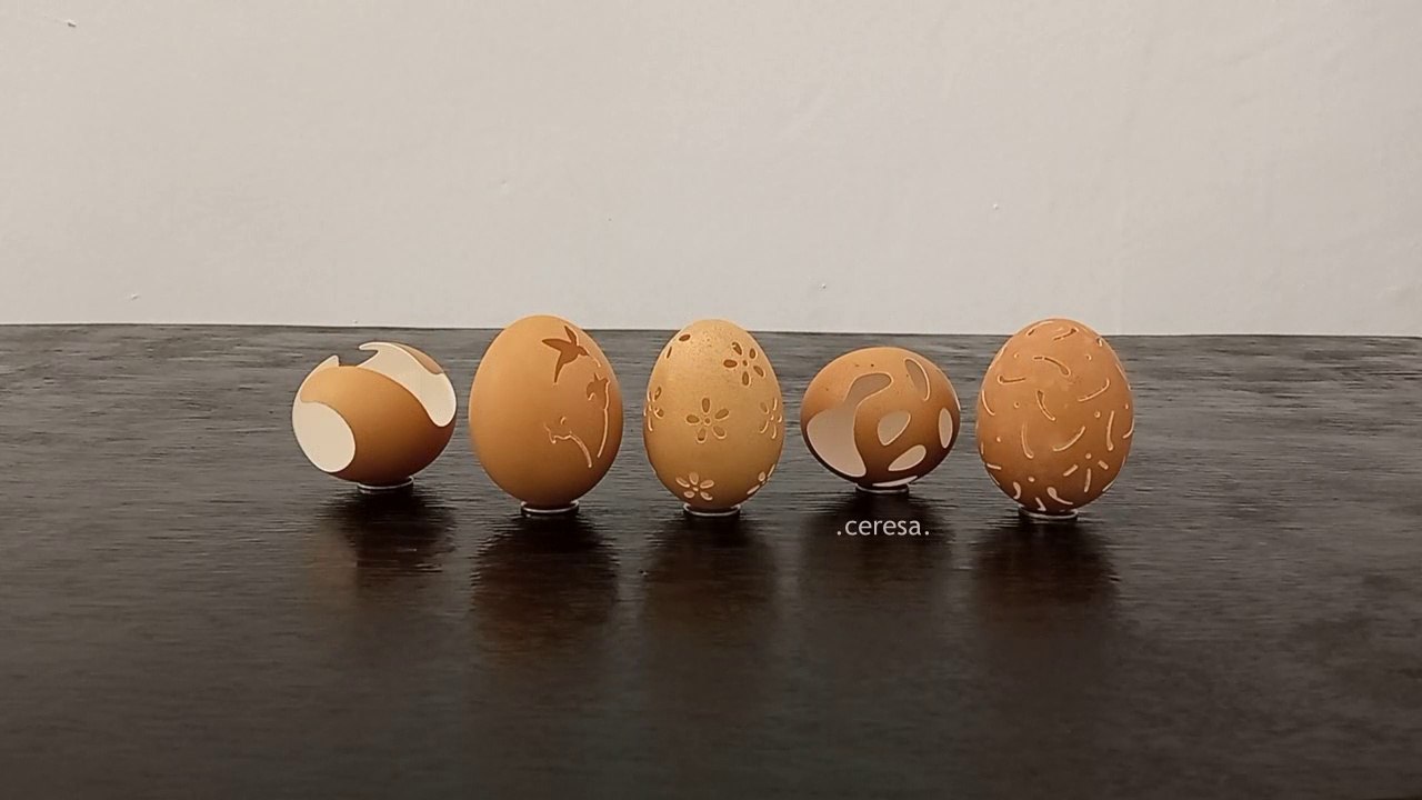 Kulit Cangkang Telur, Burung Madu