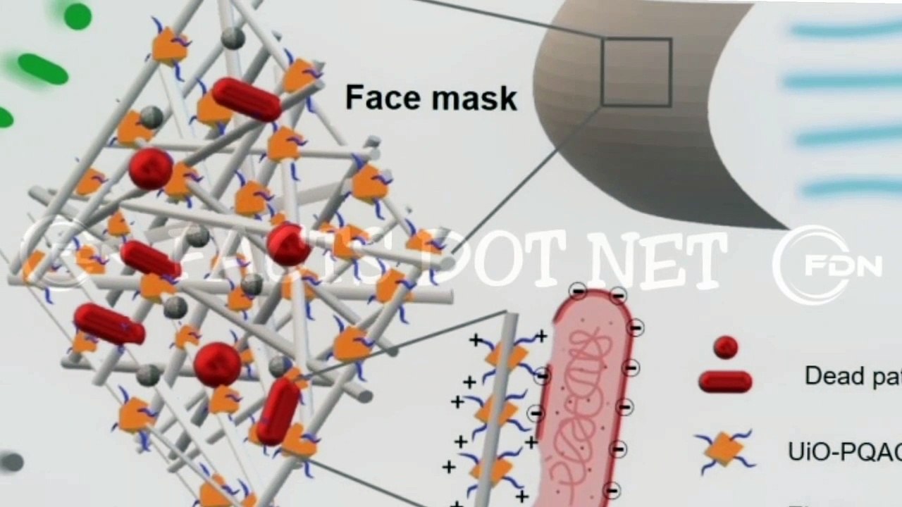 Did You Know? The Detector Mask FACTS TRIVIA video Dailymotion
