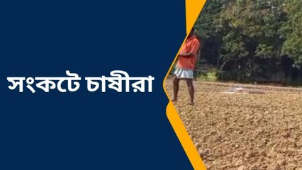 পূর্ব বর্ধমান: সারের দোকানে গলা কাটা হচ্ছে কৃষকদের?