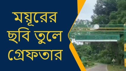 জেলার খবরঃ ডুয়ার্সে ভয়ঙ্কর কান্ড যুবকের! দেখুন হাড়হিম সেই দৃশ্য