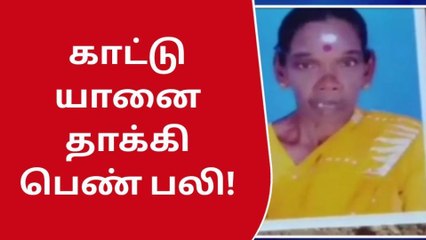 காட்டு யானை தாக்கி பெண் பலி!