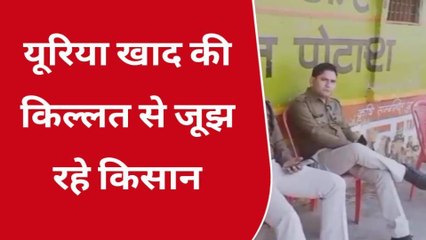 श्योपुर: यूरिया खाद की किल्लत से जूझ रहे किसान, देखिए क्या कहा किसानों ने