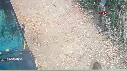 MALTEPE'DE SOKAK KÖPEĞİNE TÜFEKLE SALDIRI KAMERADA