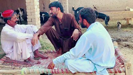 Saraiki Zaban Ka Apna Hi Level Hai