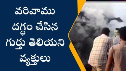 పినపాక: వరివాము దగ్ధం చేసిన గుర్తు తెలియని వ్యక్తులు