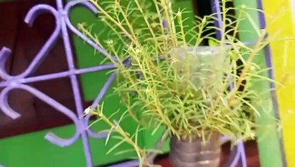 আজকে দিদা দিবে ভোগ তার আয়োজন চলছে