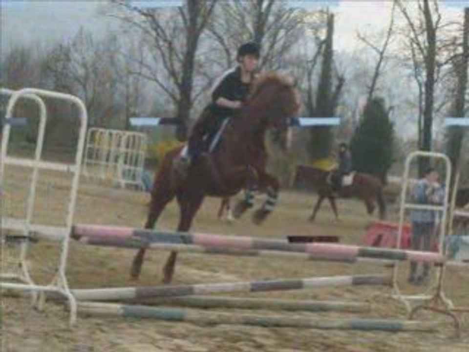 saut