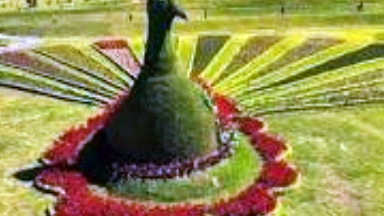 (70)# BEDUGUL ,BALI, INDONESIA 1