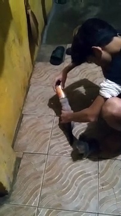 Tiny Kitten Gets Head Stuck in Can