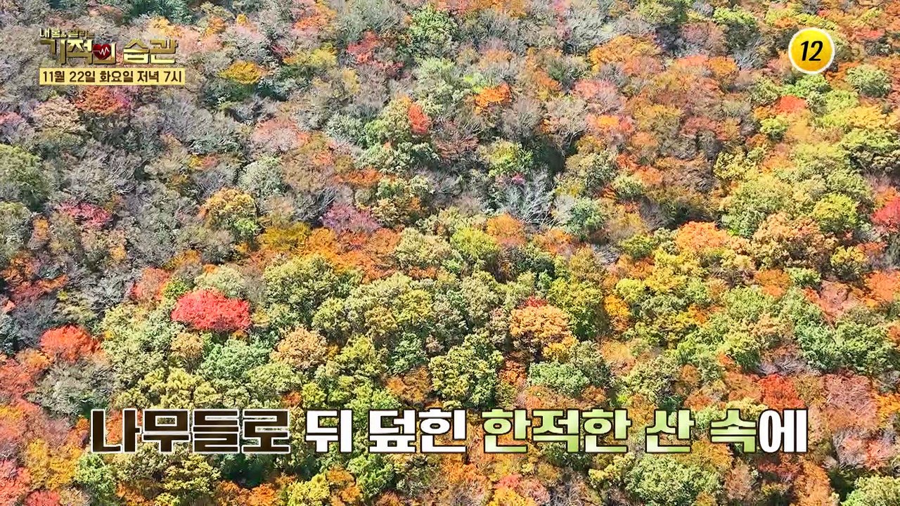 배우 주부진이 토스트집 주인이 된 사연은 과연?_기적의 습관 156회 예고 TV CH...