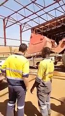 Hepsini imha ettiler! Böyle olur batı medeniyeti