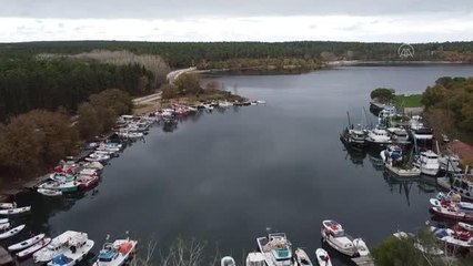 Batı Karadeniz'de 5 ildeki doğa parklarını 664 bin kişi ziyaret etti