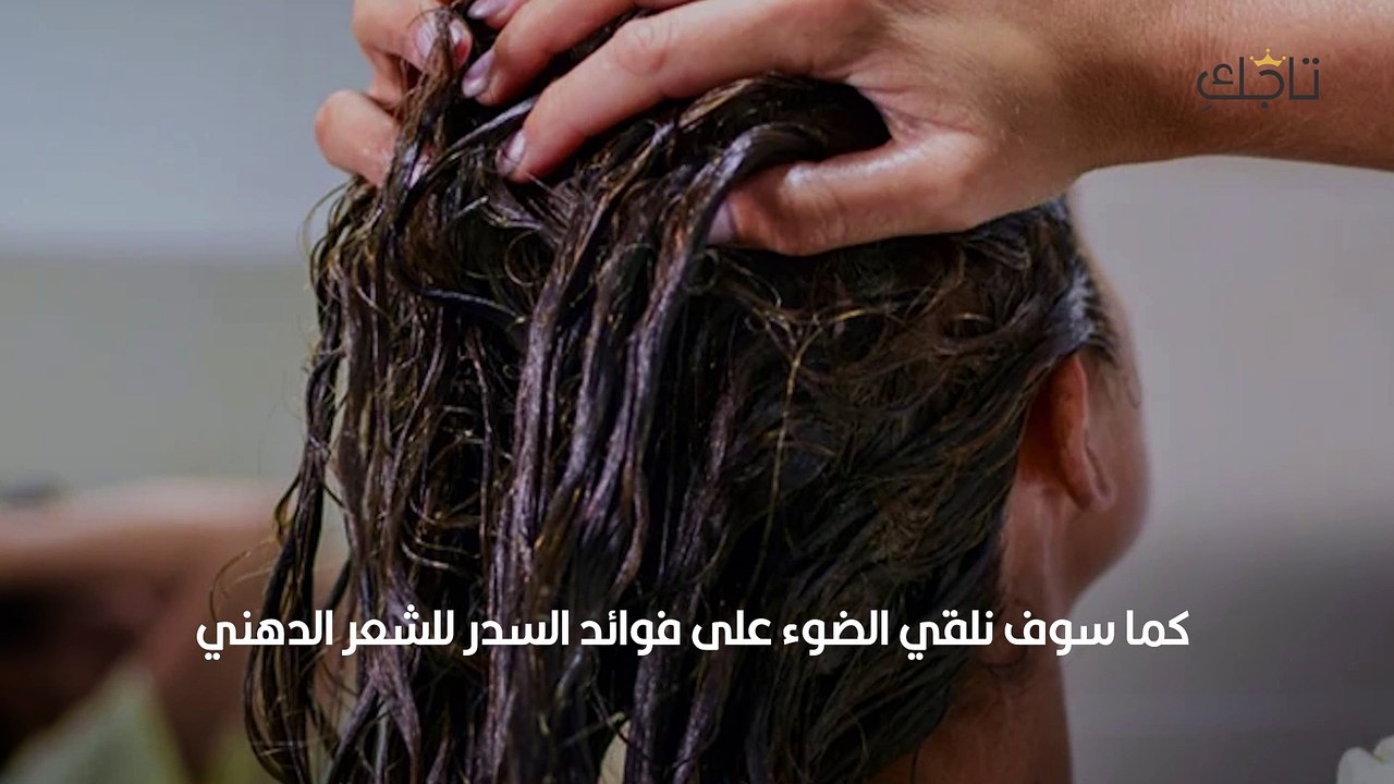 طريقة تحضير شامبو السدر للشعر الدهني