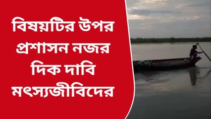 নদীয়াঃ নদীতে বিষ তেল প্রয়োগের ফলে ক্ষতির মুখে মৎস্যজীবীরা