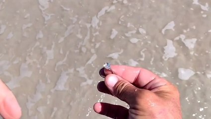 Moment metal detectorist finds lost $40,000 diamond ring buried on Florida beach