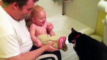 Funny Babies Laughing Hysterically at Cats Compilation