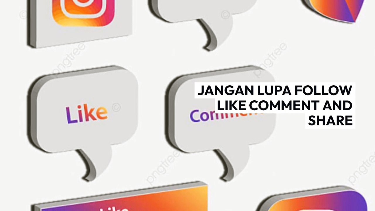 TURTLE_Kura kura bukan ninja