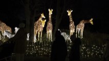 Allo zoo del Bronx luci di Natale a forma di animali