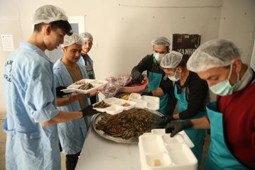 Şenlikte 2 ton hamsi tüketildi