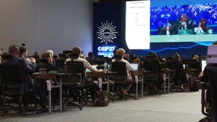 Comissão Europeia "desiludida" com COP27