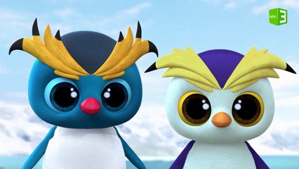 البطريقان يتشاجران على أقوى صخرة 