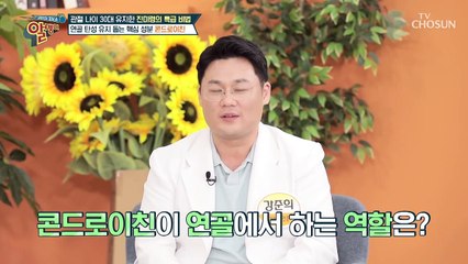 연골의 3분의 1을 차지하는 핵심 성분 ▷●●●●◁ TV CHOSUN 20221120 방송