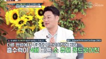 섭취만으로 6개월 만에 연골 부피 손실을 막은 효자템 TV CHOSUN 20221120 방송