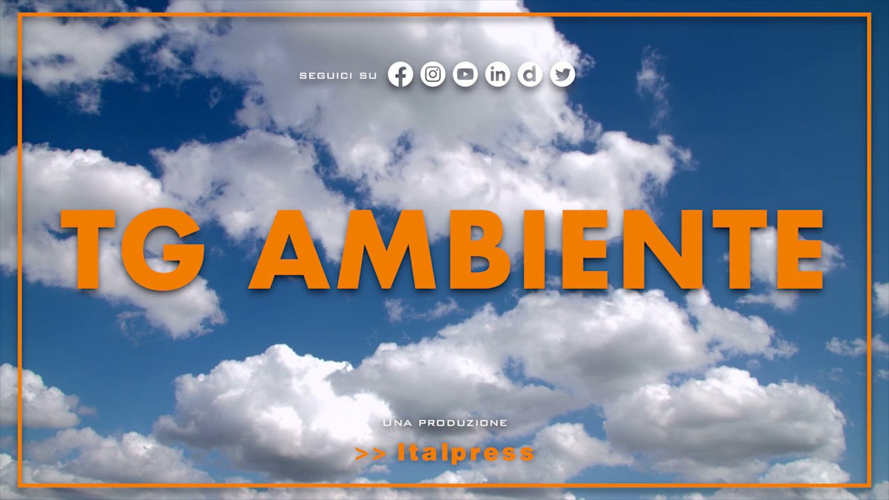 Tg Ambiente - 20/11/2022