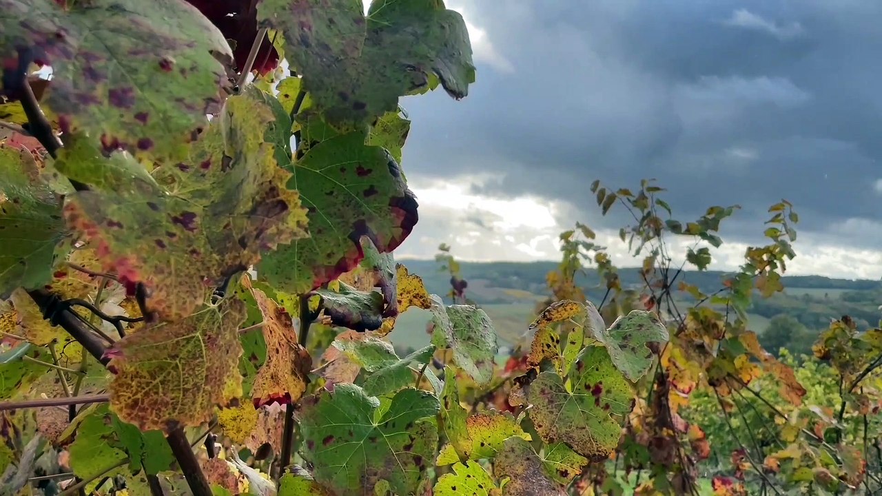 Gaillac Côté Saveurs