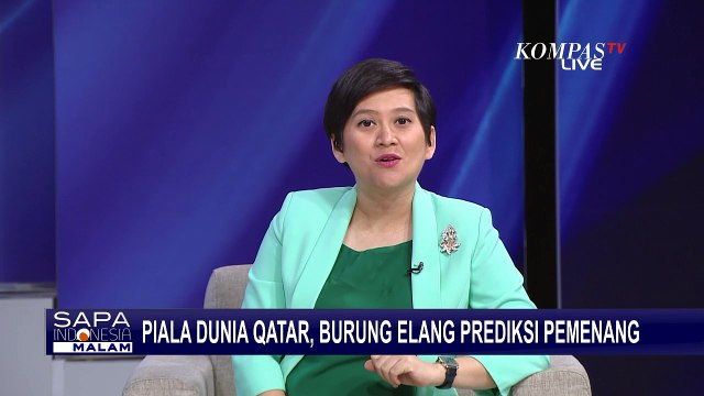 Burung Elang Prediksi Pertandingan Ekuador Vs Qatar di Piala Dunia, Ini Hasilnya...