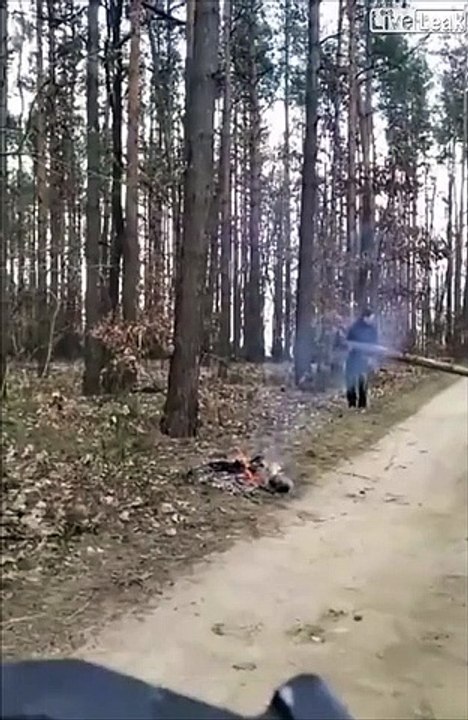 Casser un tronc d'arbre entre potes... mauvaise idée