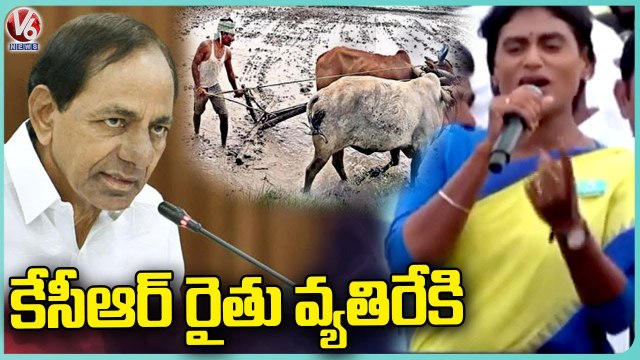 YS Sharmila Comments On CM KCR Over Farmers Issue | Praja Prasthanam Padayatra | V6 News