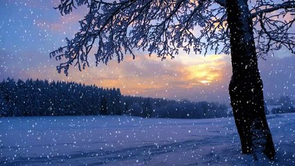 Natural beauty meditation