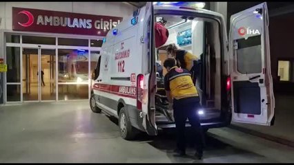Aydın'da 2 otomobil kafa kafaya çarpıştı: 5 yaralı