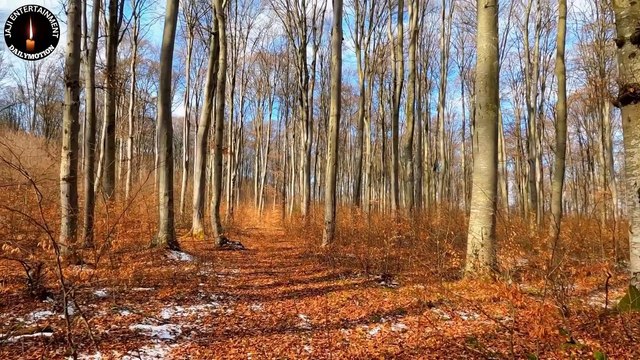 دل کو چھو لینے والی اردو شاعری