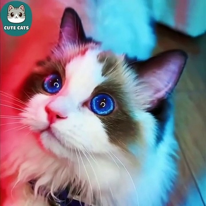 Deep blue Eyes